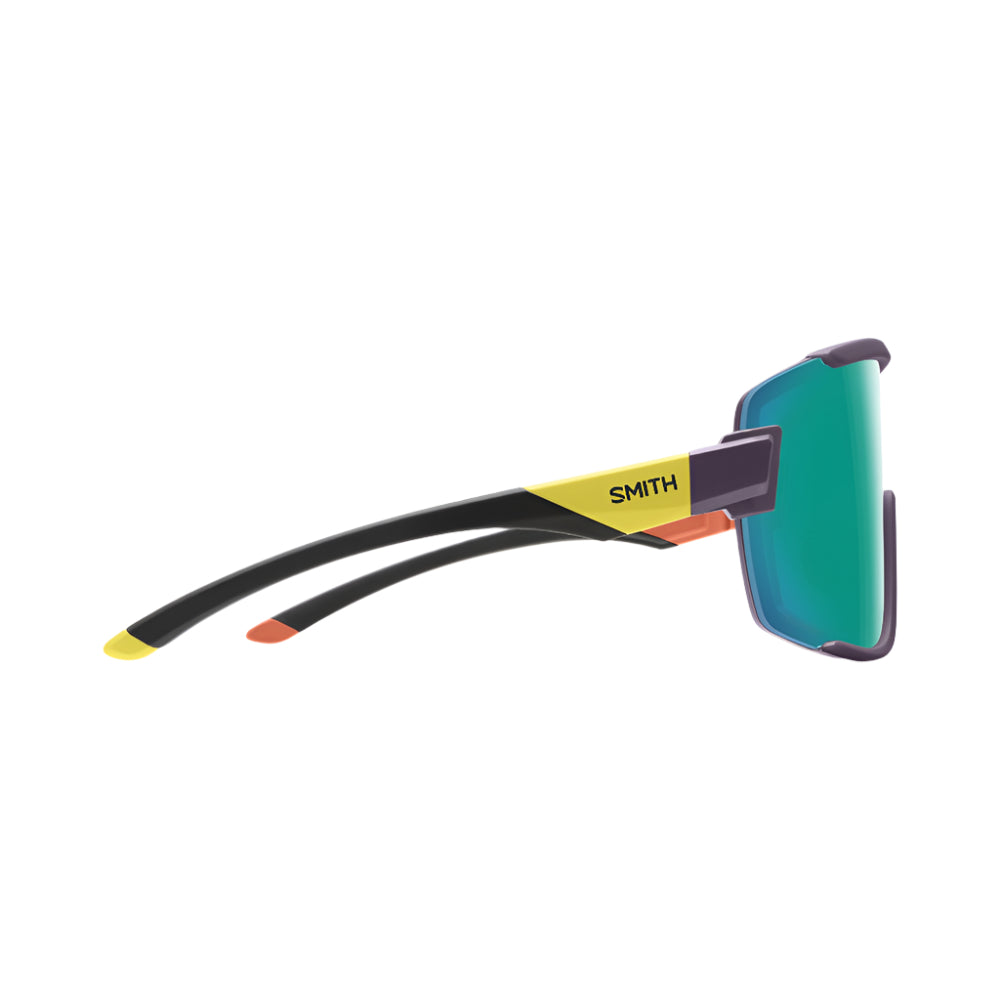 Wildcat Sunglasses