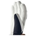 View if Hestra Voss CZone 5 Finger Glove in colour Black/Cork.