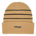B1B Stripe Beanie