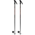Speed Team Ski Poles - Kids