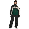 Volcom Volcom DLM Snowboard Pants - Womens