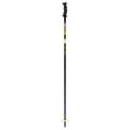 Power Composite Ski Poles