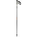 Polar Pro S3 Ski Poles