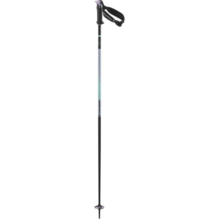 Polar Pro S3 Ski Poles