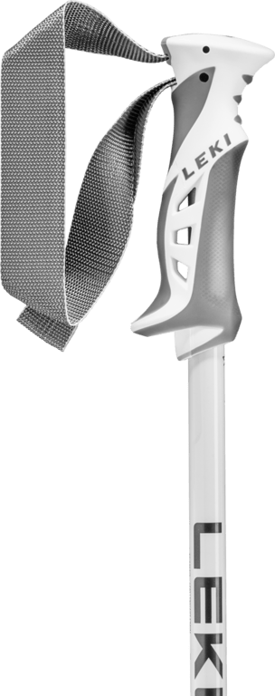 Bliss Ski Poles