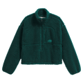 Rear view of The North Face Extreme Pile 2 Pullover for Women in Hunter Green featuring a half front zip, zip chest pocket, side pockets and adjustable hem, with a small side embroidered logo on the left chest.