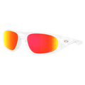 Main view of the Oakley Neogotma Sunglasses in Matte Clear colourway, unisex's model