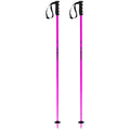 Prodigy Ski Poles