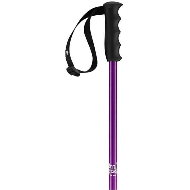 Prodigy Ski Poles