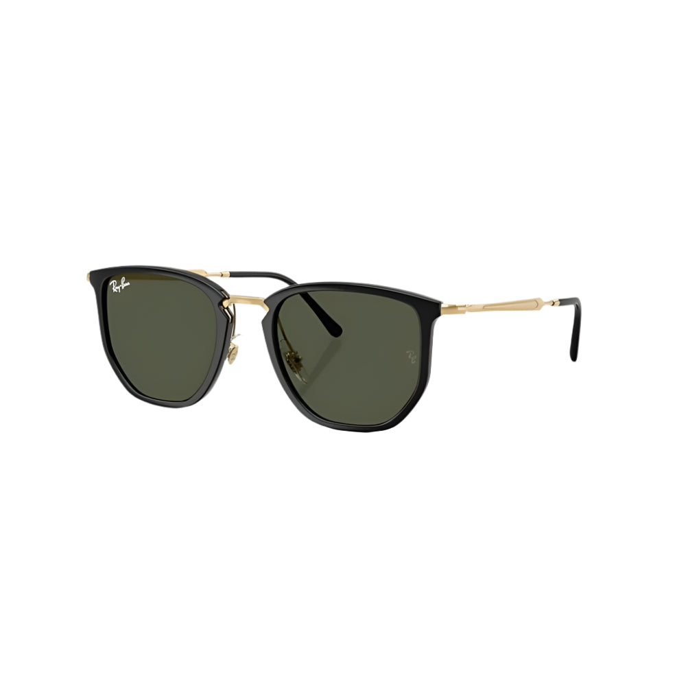 RB4451 Sunglasses