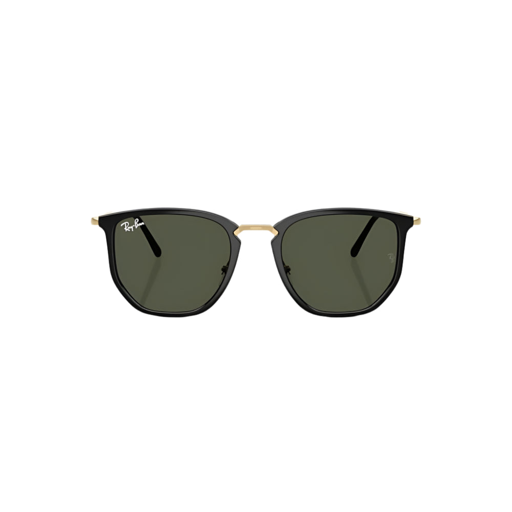 RB4451 Sunglasses