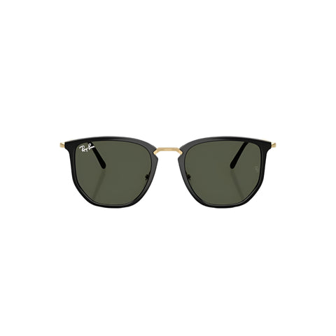 RB4451 Sunglasses