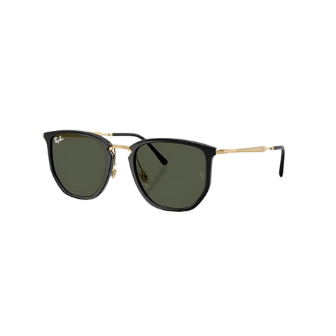 RB4451 Sunglasses