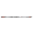 Delta Comp Skate Ski w/ Binding