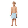 Full image of the Rip Curl Cosmic Surfing Volley - Boy in Light Blue