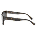 Side view of the RayBan Jeffery Sunglasses in Havana On Transparent Brown, Dark Grey lens, unisex model
