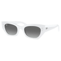 Main view of the RayBan Zena Sunglasses in White colourway, unisex model