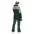 Back full-body view of the Volcom 2026 Bolt Ins Jacket in Scarab colourway, women's model.