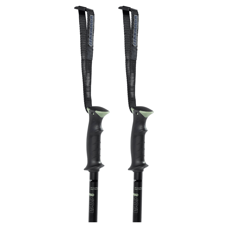 Triad Ski Poles