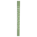 Triad Ski Poles