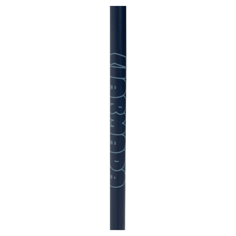 Triad Ski Poles