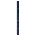 Triad Ski Poles