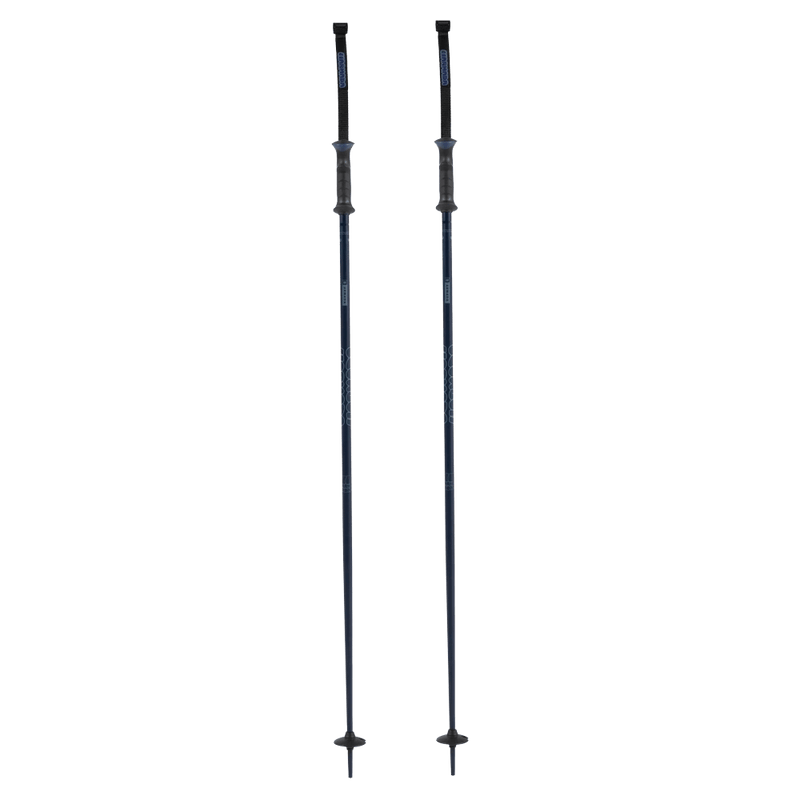 Triad Ski Poles