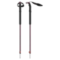Main view of the Atomic BCT Touring SQS Plum AJ5005734 Poles, 26/27 Womens's model