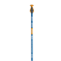 Stealth Probe