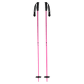 Meta Ski Poles