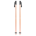 Meta Ski Poles