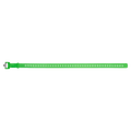 Ski Strap