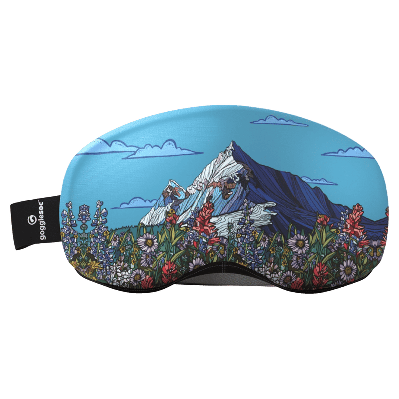Main view of the Garibaldi Goggle Soc Pro