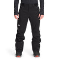 Freedom Ski Pants