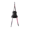 Backcountry Backpack