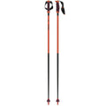 Redster Carbon SQS Ski Poles