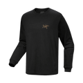 Arcteryx Kragg Cotton LS Tee