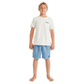 All Day OVD Layback Boardshorts - Kids