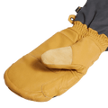 Arashi Guide Gtx Mitts