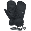 Icho Gtx Mitts