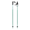 Phantastick Ski Poles - Youth