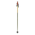 Phantastick Ski Poles - Kids