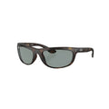 Balorama Sunglasses