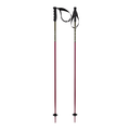 Phantastick Ski Poles - Youth