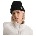 Salty Lined Beanie