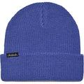 Commodity Beanie