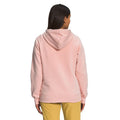 Half Dome Pullover Hoodie - Womens