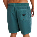 All Day OVD Layback Boardshorts - Kids