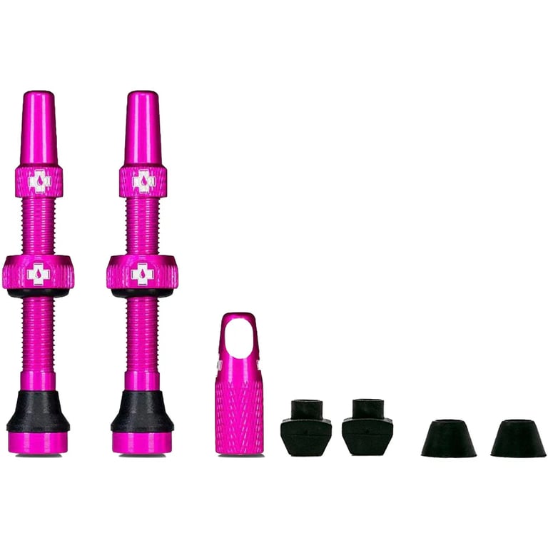 Tubeless Valves Kit V2