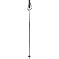 Phantastick Ski Poles - Kids